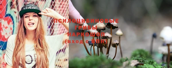 дмт Алзамай