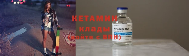 дмт Алзамай